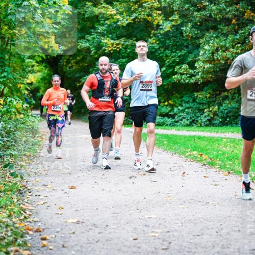 12.10.2025 - Bramfelder Halbmarathon 2025 Dr. Thomas Lammeyer http://msf.ph/oto/9358283 12.10.2025 11:03:55 Laufen 2399, 2893, 2942 meine-sportfotos.de