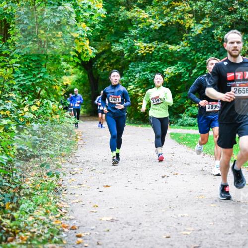 12.10.2025 - Bramfelder Halbmarathon 2025 Dr. Thomas Lammeyer http://msf.ph/oto/9358326 12.10.2025 11:04:03 Laufen 2421, 2343, 2895, 2656 meine-sportfotos.de
