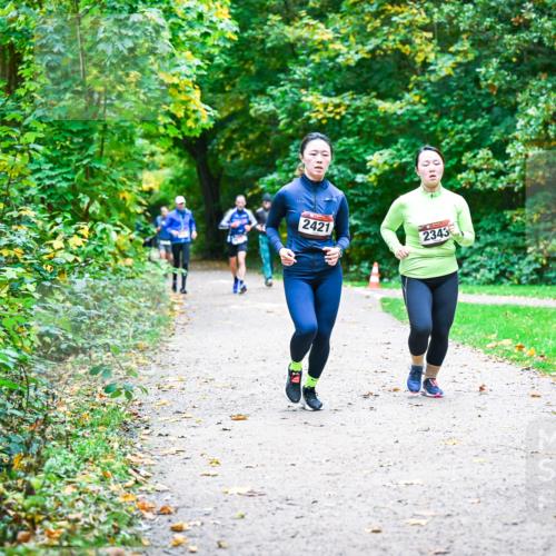 12.10.2025 - Bramfelder Halbmarathon 2025 Dr. Thomas Lammeyer http://msf.ph/oto/9358334 12.10.2025 11:04:04 Laufen 2421, 2343, 2895 meine-sportfotos.de