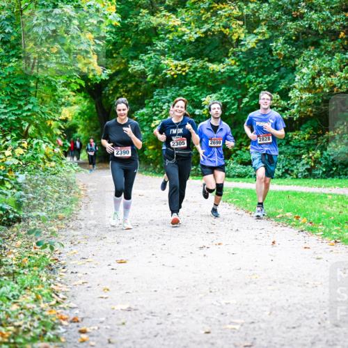 12.10.2025 - Bramfelder Halbmarathon 2025 Dr. Thomas Lammeyer http://msf.ph/oto/9358497 12.10.2025 11:04:31 Laufen 2390, 2305, 2699, 2828 meine-sportfotos.de