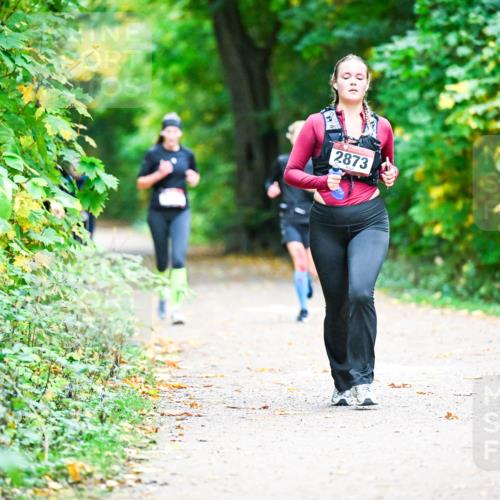 12.10.2025 - Bramfelder Halbmarathon 2025 Dr. Thomas Lammeyer http://msf.ph/oto/9358883 12.10.2025 11:05:54 Laufen 2873 meine-sportfotos.de