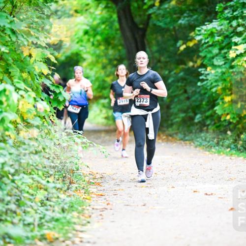 12.10.2025 - Bramfelder Halbmarathon 2025 Dr. Thomas Lammeyer http://msf.ph/oto/9359139 12.10.2025 11:07:05 Laufen 2643, 2915, 2373 meine-sportfotos.de