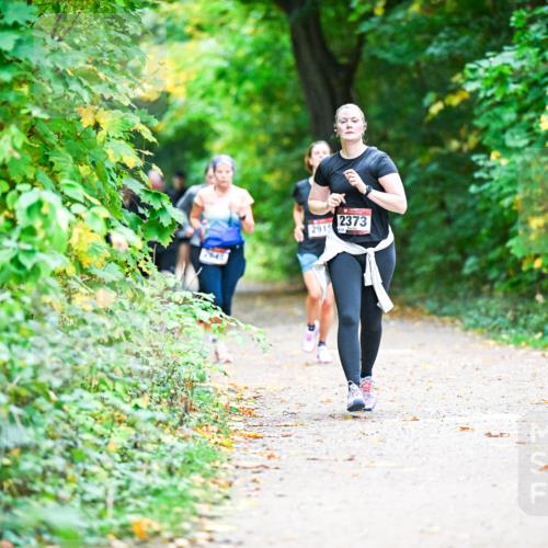 12.10.2025 - Bramfelder Halbmarathon 2025 Dr. Thomas Lammeyer http://msf.ph/oto/9359144 12.10.2025 11:07:06 Laufen 291, 2373 meine-sportfotos.de