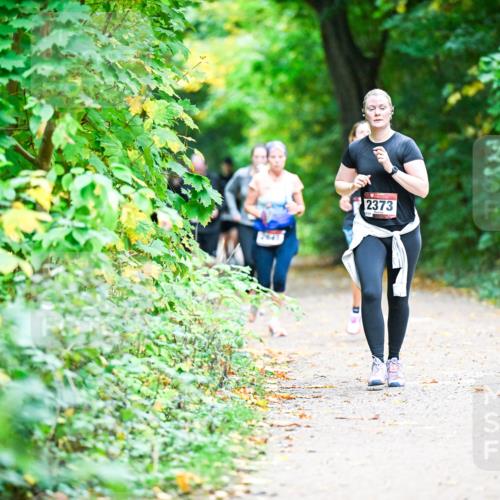 12.10.2025 - Bramfelder Halbmarathon 2025 Dr. Thomas Lammeyer http://msf.ph/oto/9359149 12.10.2025 11:07:06 Laufen 2373 meine-sportfotos.de