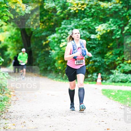 12.10.2025 - Bramfelder Halbmarathon 2025 Dr. Thomas Lammeyer http://msf.ph/oto/9359639 12.10.2025 11:08:56 Laufen 1, 2855 meine-sportfotos.de