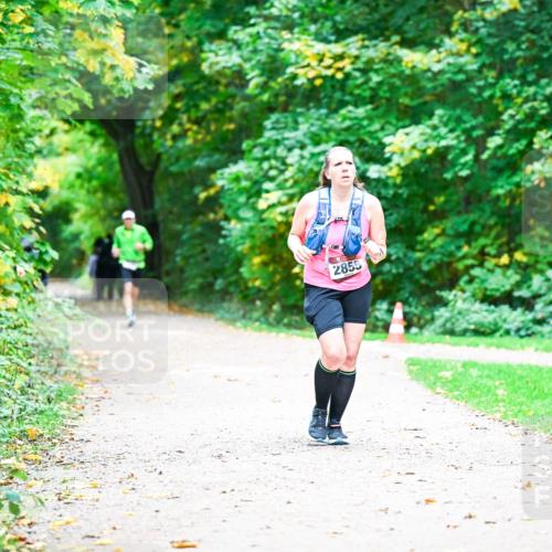 12.10.2025 - Bramfelder Halbmarathon 2025 Dr. Thomas Lammeyer http://msf.ph/oto/9359641 12.10.2025 11:08:56 Laufen 2855 meine-sportfotos.de