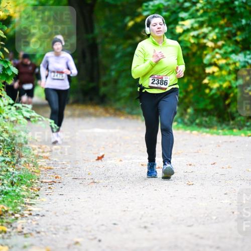 12.10.2025 - Bramfelder Halbmarathon 2025 Dr. Thomas Lammeyer http://msf.ph/oto/9359774 12.10.2025 11:09:28 Laufen 2386 meine-sportfotos.de