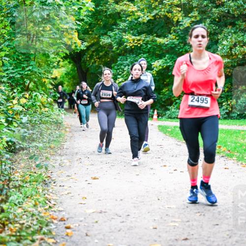 12.10.2025 - Bramfelder Halbmarathon 2025 Dr. Thomas Lammeyer http://msf.ph/oto/9359868 12.10.2025 11:09:48 Laufen 2244, 2859, 265, 2495 meine-sportfotos.de