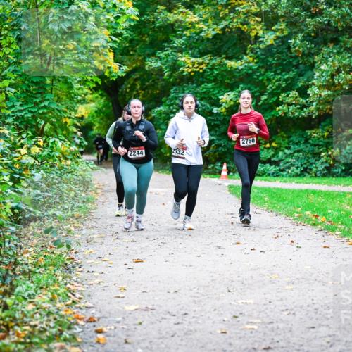 12.10.2025 - Bramfelder Halbmarathon 2025 Dr. Thomas Lammeyer http://msf.ph/oto/9359896 12.10.2025 11:09:53 Laufen 2244, 2332, 2750 meine-sportfotos.de