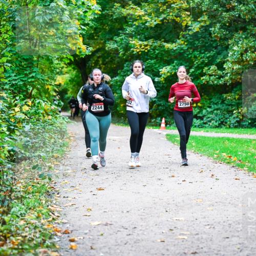 12.10.2025 - Bramfelder Halbmarathon 2025 Dr. Thomas Lammeyer http://msf.ph/oto/9359897 12.10.2025 11:09:53 Laufen 2244, 432, 2750 meine-sportfotos.de
