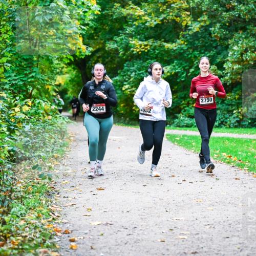 12.10.2025 - Bramfelder Halbmarathon 2025 Dr. Thomas Lammeyer http://msf.ph/oto/9359902 12.10.2025 11:09:54 Laufen 2750, 2244, 2352 meine-sportfotos.de