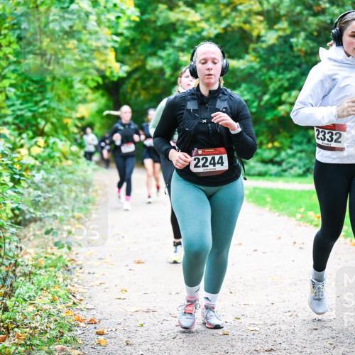 12.10.2025 - Bramfelder Halbmarathon 2025 Dr. Thomas Lammeyer http://msf.ph/oto/9359917 12.10.2025 11:09:56 Laufen 2244, 2332 meine-sportfotos.de