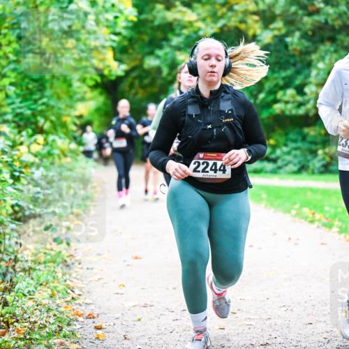 12.10.2025 - Bramfelder Halbmarathon 2025 Dr. Thomas Lammeyer http://msf.ph/oto/9359919 12.10.2025 11:09:57 Laufen 2244, 2332 meine-sportfotos.de