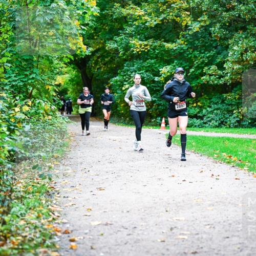 12.10.2025 - Bramfelder Halbmarathon 2025 Dr. Thomas Lammeyer http://msf.ph/oto/9359963 12.10.2025 11:10:06 Laufen 2921, 2897 meine-sportfotos.de