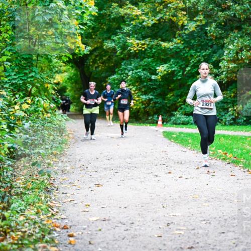 12.10.2025 - Bramfelder Halbmarathon 2025 Dr. Thomas Lammeyer http://msf.ph/oto/9359981 12.10.2025 11:10:09 Laufen 2921, 2438, 300, 289 meine-sportfotos.de