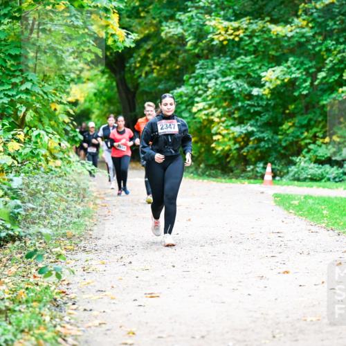 12.10.2025 - Bramfelder Halbmarathon 2025 Dr. Thomas Lammeyer http://msf.ph/oto/9360487 12.10.2025 11:12:36 Laufen 23471 meine-sportfotos.de
