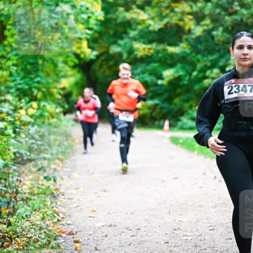 12.10.2025 - Bramfelder Halbmarathon 2025 Dr. Thomas Lammeyer http://msf.ph/oto/9360502 12.10.2025 11:12:40 Laufen 2347 meine-sportfotos.de