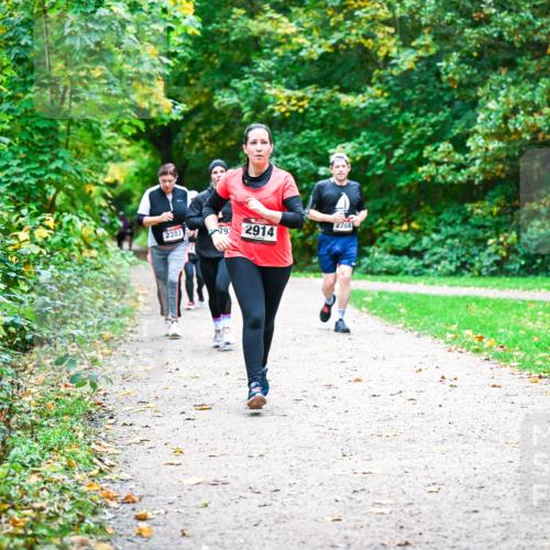 12.10.2025 - Bramfelder Halbmarathon 2025 Dr. Thomas Lammeyer http://msf.ph/oto/9360518 12.10.2025 11:12:44 Laufen 2387, 79, 2914, 2704 meine-sportfotos.de