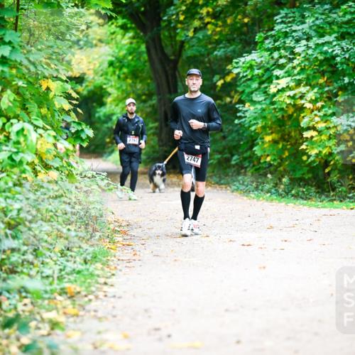 12.10.2025 - Bramfelder Halbmarathon 2025 Dr. Thomas Lammeyer http://msf.ph/oto/9360769 12.10.2025 11:13:45 Laufen 2767, 2747 meine-sportfotos.de