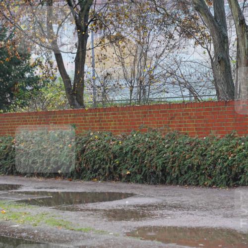 07.12.2025 - St. Pauli X-Mass-Run No. 15 Michael Burmester http://msf.ph/oto/9430284 07.12.2025 10:14:51 Laufen  meine-sportfotos.de