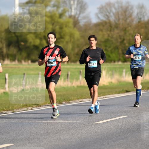 12.04.2026 - 45. Internationalen Wilhelmsburger Insellauf Dr. Thomas Lammeyer http://msf.ph/oto/9431901 12.04.2026 09:13:18 Laufen 4087, 5452, 3047, 2377 meine-sportfotos.de