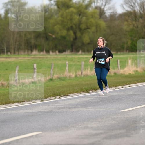 12.04.2026 - 45. Internationalen Wilhelmsburger Insellauf Dr. Thomas Lammeyer http://msf.ph/oto/9437632 12.04.2026 09:31:39 Laufen 2564 meine-sportfotos.de