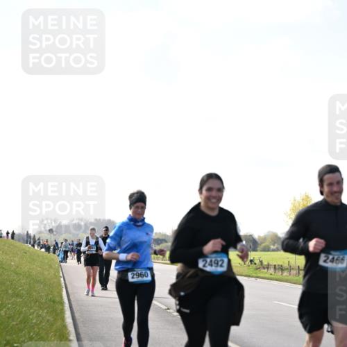 12.04.2026 - 45. Internationalen Wilhelmsburger Insellauf Dr. Thomas Lammeyer http://msf.ph/oto/9450677 12.04.2026 10:45:04 Laufen 2492, 2960, 2466 meine-sportfotos.de