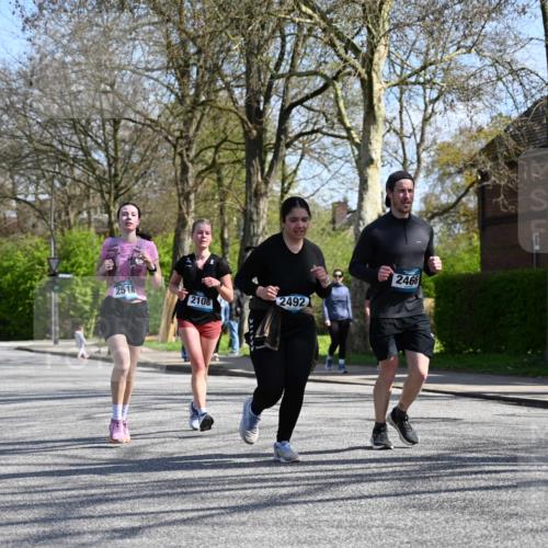 12.04.2026 - 45. Internationalen Wilhelmsburger Insellauf J. Mangold http://msf.ph/oto/9470571 12.04.2026 11:21:37 Ziel 3537, 3205, 2588, 2518, 2108, 2492, 2466, 4699, 2146, 4813, 3579 meine-sportfotos.de