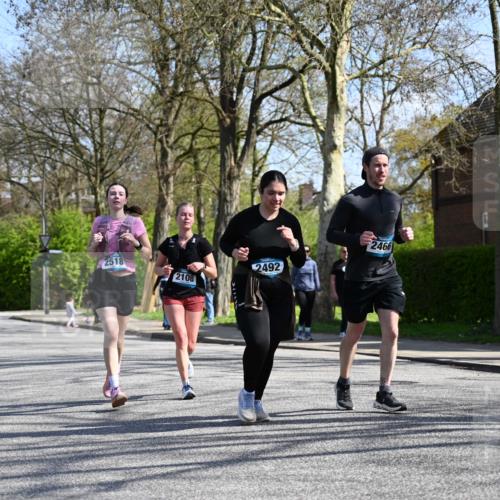 12.04.2026 - 45. Internationalen Wilhelmsburger Insellauf J. Mangold http://msf.ph/oto/9470575 12.04.2026 11:21:37 Ziel 3537, 3205, 2588, 2518, 2108, 2492, 2466, 4699, 2146, 4813, 3579 meine-sportfotos.de