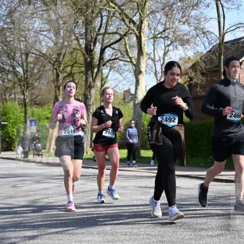 12.04.2026 - 45. Internationalen Wilhelmsburger Insellauf J. Mangold http://msf.ph/oto/9470598 12.04.2026 11:21:38 Ziel 3537, 3205, 2588, 2518, 2108, 2492, 2466, 4699, 2146, 4813, 3579 meine-sportfotos.de