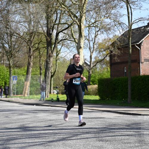 12.04.2026 - 45. Internationalen Wilhelmsburger Insellauf J. Mangold http://msf.ph/oto/9471064 12.04.2026 11:24:31 Ziel 3719, 3690, 2907, 4146 meine-sportfotos.de