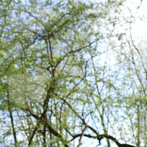 12.04.2026 - 45. Internationalen Wilhelmsburger Insellauf Yannick Fuchs http://msf.ph/oto/9474517 12.04.2026 10:05:49 Laufen  meine-sportfotos.de