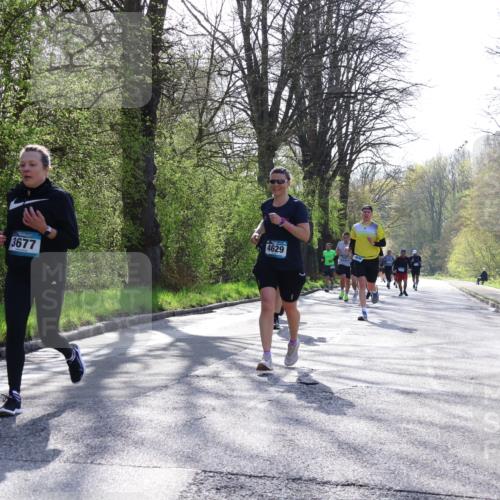 12.04.2026 - 45. Internationalen Wilhelmsburger Insellauf Yannick Fuchs http://msf.ph/oto/9479034 12.04.2026 10:29:43 Laufen  meine-sportfotos.de