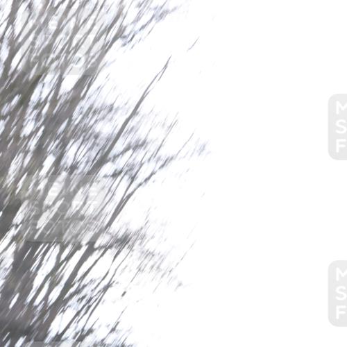 12.04.2026 - 45. Internationalen Wilhelmsburger Insellauf Yannick Fuchs http://msf.ph/oto/9480202 12.04.2026 10:19:12 Laufen  meine-sportfotos.de