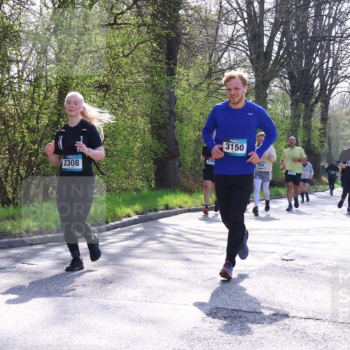 12.04.2026 - 45. Internationalen Wilhelmsburger Insellauf Yannick Fuchs http://msf.ph/oto/9485508 12.04.2026 10:46:38 Laufen 2308, 3723, 3150, 2988, 428, 2931, 3260 meine-sportfotos.de