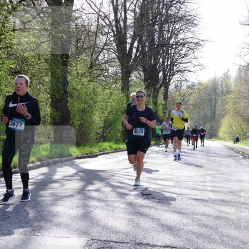 12.04.2026 - 45. Internationalen Wilhelmsburger Insellauf Yannick Fuchs http://msf.ph/oto/9486090 12.04.2026 10:29:42 Laufen 4629, 3677 meine-sportfotos.de