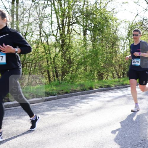 12.04.2026 - 45. Internationalen Wilhelmsburger Insellauf Yannick Fuchs http://msf.ph/oto/9486108 12.04.2026 10:29:44 Laufen 1677, 4629 meine-sportfotos.de