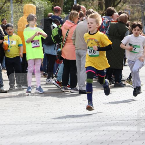 12.04.2026 - 45. Internationalen Wilhelmsburger Insellauf Strokosch-Dieckow http://msf.ph/oto/9490310 12.04.2026 14:33:33 Ziel 610, 72 meine-sportfotos.de