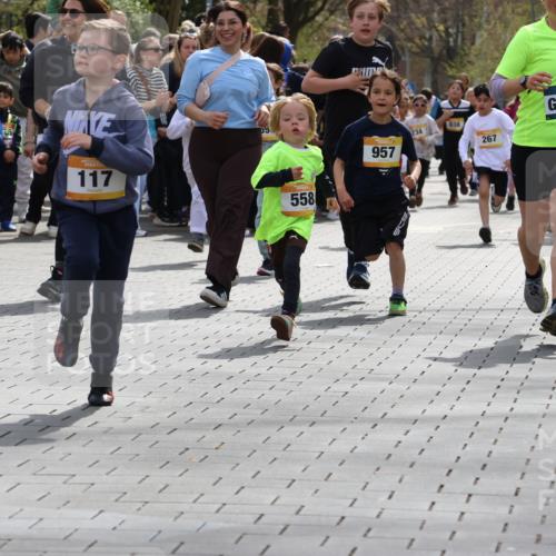 12.04.2026 - 45. Internationalen Wilhelmsburger Insellauf Strokosch-Dieckow http://msf.ph/oto/9490600 12.04.2026 14:21:33 Ziel 988, 964, 972, 1627, 951, 260, 957, 823, 117, 558, 267, 657, 698, 678, 279, 960 meine-sportfotos.de