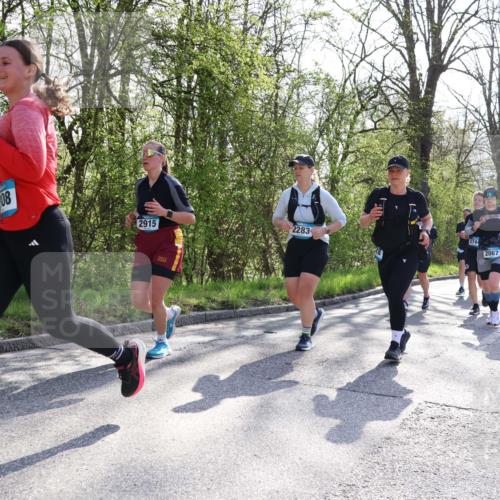 12.04.2026 - 45. Internationalen Wilhelmsburger Insellauf Yannick Fuchs http://msf.ph/oto/9492539 12.04.2026 10:45:04 Laufen 80, 2915, 804, 2283, 274, 2067, 4717 meine-sportfotos.de