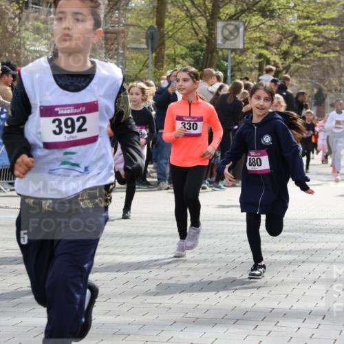 12.04.2026 - 45. Internationalen Wilhelmsburger Insellauf Strokosch-Dieckow http://msf.ph/oto/9492858 12.04.2026 14:50:29 Ziel 1840, 504, 333, 391, 407, 883, 452, 1834, 491, 426, 392, 880, 151, 1035, 330, 362, 865, 1844 meine-sportfotos.de