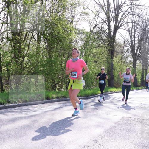 12.04.2026 - 45. Internationalen Wilhelmsburger Insellauf Yannick Fuchs http://msf.ph/oto/9493688 12.04.2026 10:47:13 Laufen 2499, 5366, 5703, 5468 meine-sportfotos.de