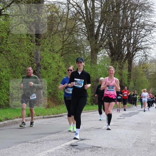 12.04.2026 - 45. Internationalen Wilhelmsburger Insellauf Yannick Fuchs http://msf.ph/oto/9495425 12.04.2026 13:05:52 Laufen 5488, 3927, 3265, 3265, 3828, 4954 meine-sportfotos.de