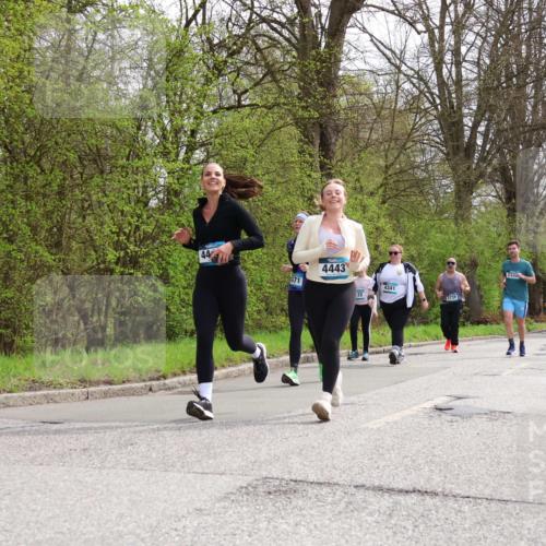12.04.2026 - 45. Internationalen Wilhelmsburger Insellauf Yannick Fuchs http://msf.ph/oto/9497239 12.04.2026 13:09:09 Laufen 44, 471, 4443, 22, 4341, 3739, 23322, 2290 meine-sportfotos.de