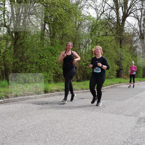 12.04.2026 - 45. Internationalen Wilhelmsburger Insellauf Yannick Fuchs http://msf.ph/oto/9498500 12.04.2026 13:12:00 Laufen 2968 meine-sportfotos.de
