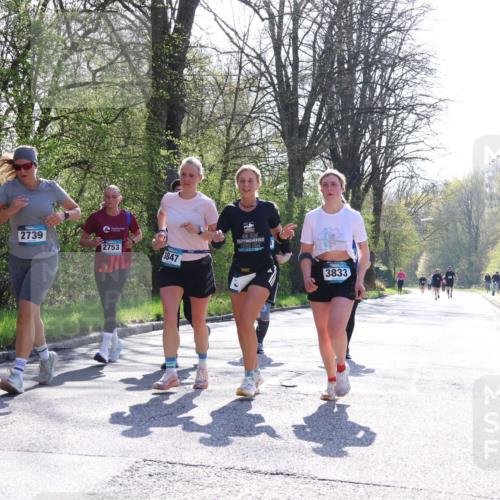 12.04.2026 - 45. Internationalen Wilhelmsburger Insellauf Yannick Fuchs http://msf.ph/oto/9498692 12.04.2026 10:58:55 Laufen 2739, 2753, 3847, 2023, 3833 meine-sportfotos.de