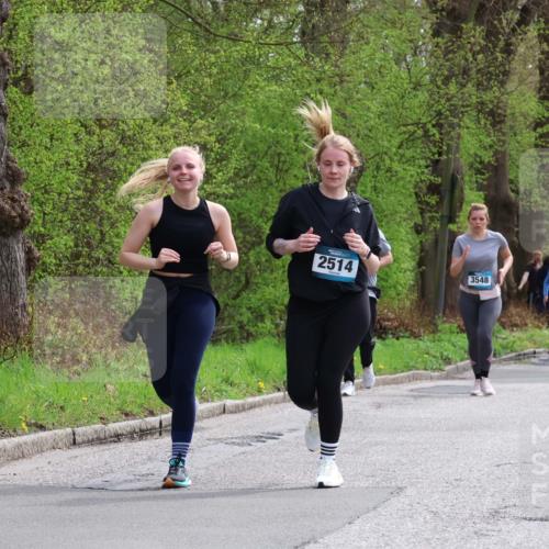 12.04.2026 - 45. Internationalen Wilhelmsburger Insellauf Yannick Fuchs http://msf.ph/oto/9499486 12.04.2026 13:14:39 Laufen 2514, 3548, 3648, 3646 meine-sportfotos.de