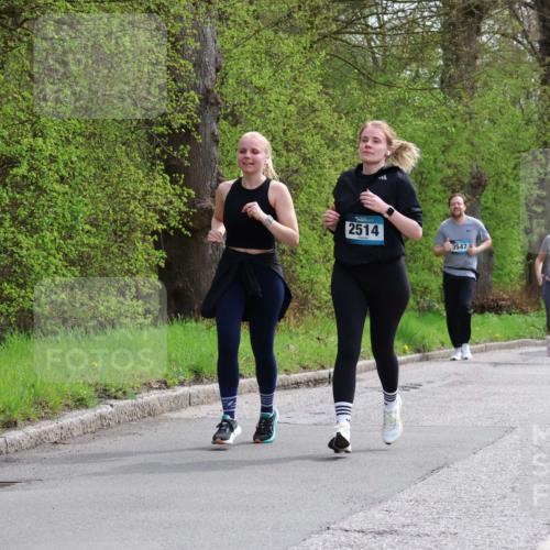 12.04.2026 - 45. Internationalen Wilhelmsburger Insellauf Yannick Fuchs http://msf.ph/oto/9499498 12.04.2026 13:14:40 Laufen 2514, 3547, 3548, 3648 meine-sportfotos.de