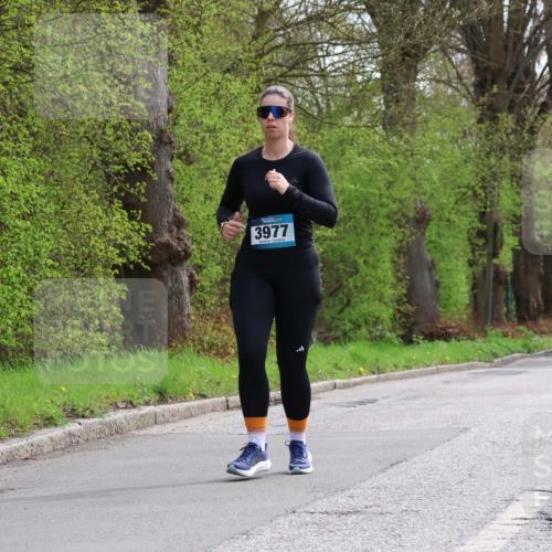 12.04.2026 - 45. Internationalen Wilhelmsburger Insellauf Yannick Fuchs http://msf.ph/oto/9501072 12.04.2026 13:22:49 Laufen 3977 meine-sportfotos.de