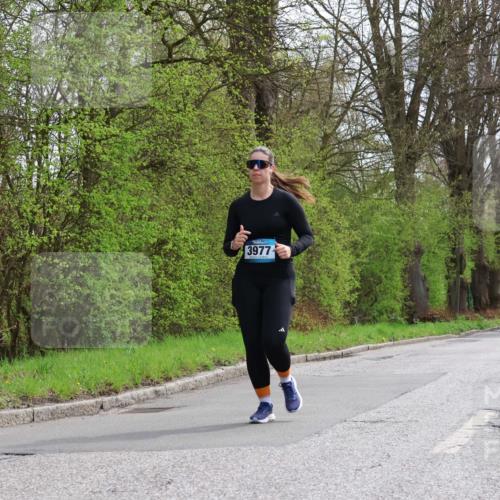12.04.2026 - 45. Internationalen Wilhelmsburger Insellauf Yannick Fuchs http://msf.ph/oto/9501081 12.04.2026 13:22:50 Laufen 3977 meine-sportfotos.de